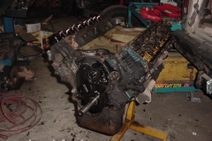 DSC00007